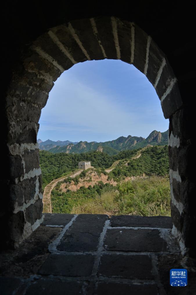 微乐斗地主直播福利码